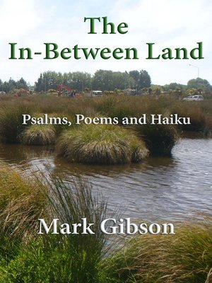 cover image of The In-Between Land